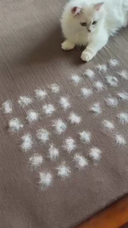 Oazeno™ Premium Pet Hair Removal Glove